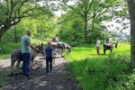 Wandelen met Ezels